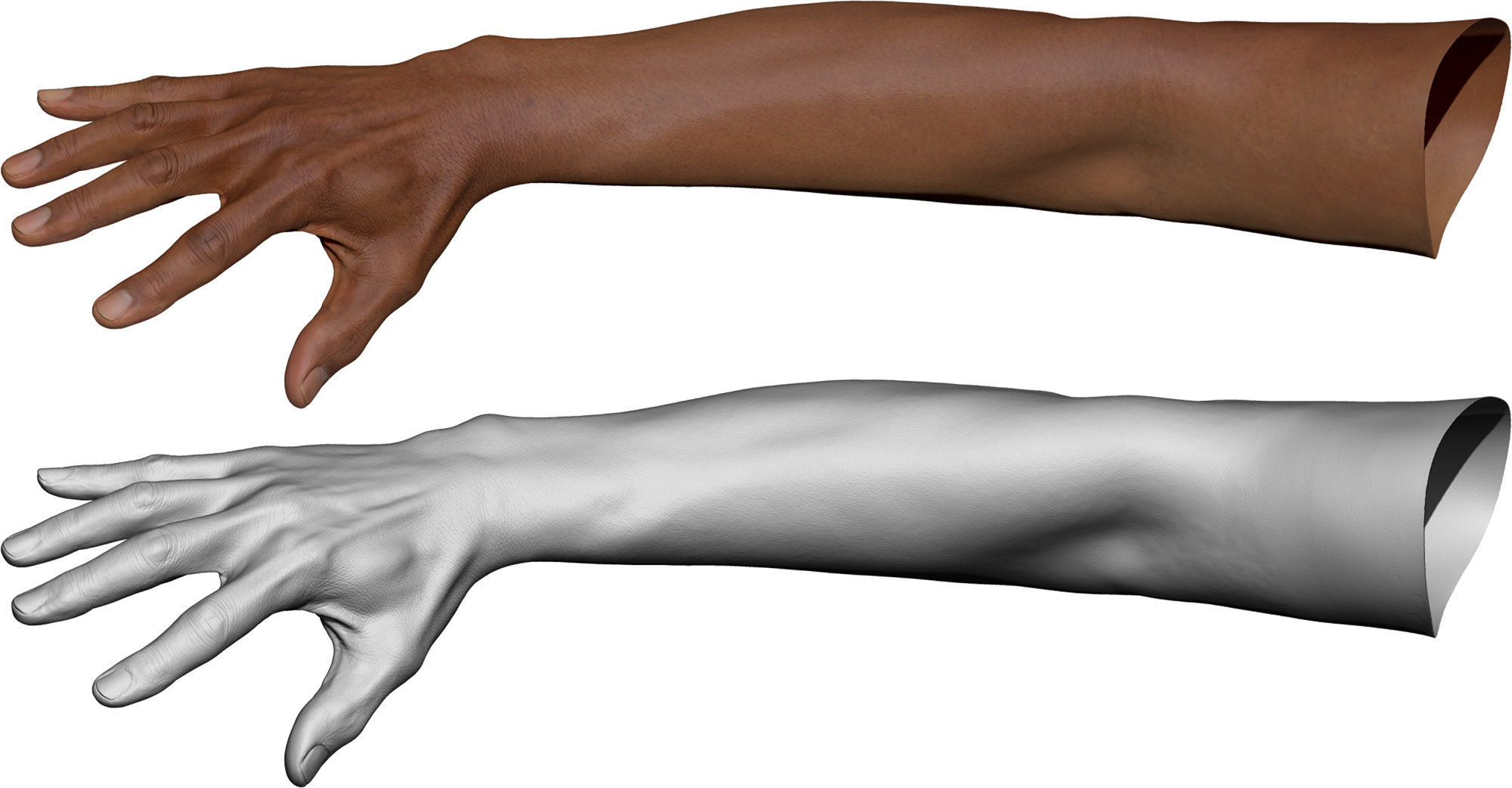 3D Hand and Arm Model with realistic texture maps